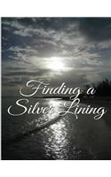 Finding a Silver Lining