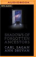 Shadows of Forgotten Ancestors