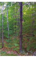 Journal Summer Woods