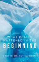 What Really Happened in the Beginning
