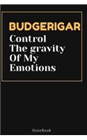 BUDGERIGAR Control The gravity Of My Emotions