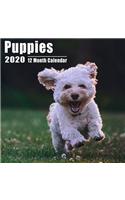 Mini Calendar 2020 Puppies