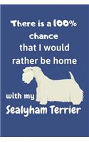 There is a 100% chance that I would rather be home with my Sealyham Terrier: For Sealyham Terrier Dog Fans
