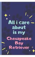 All I Care About Is My Chesapeake Bay Retriever- Notebook