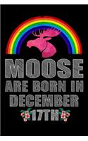 Moose Are Born In December 17th