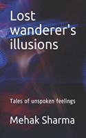 Lost wanderer's illusions: Tales of unspoken feelings