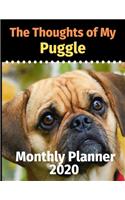 The Thoughts of My Puggle