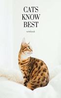 Cats know best: notebook