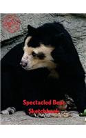 Spectacled Bear Sketchbook: (Sketchbooks for Drawing)
