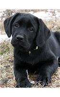 Black Labrador Puppy Calendar Notebook: Dog Wisdom Quotes(1 Awaiting Spring Undated Planner 8.5x11)