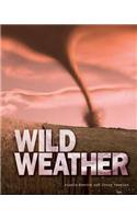 Great Big Book of Wild Weather