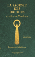 La sagesse des druides