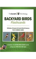 Bird Id Flash Cards (Eastern & Central Na)