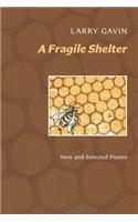 Fragile Shelter