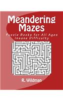 Meandering Mazes: Puzzle Books for All Ages - Insane Difficulty(1 Meandering Mazes - Insane)