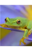 Frog Notebook - Graph Paper - 4x4 Grid