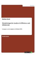 Morphologische Analyse & Effizienz und Effektivität