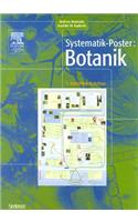 Systematik-Poster: Botanik