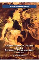 Conociendo a Jesús en el Antiguo Testamento