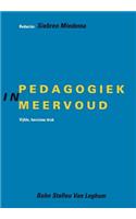 Pedagogiek in Meervoud.