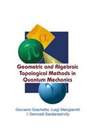 Geometric and Algebraic Topological Methods in Quantum Mechanics