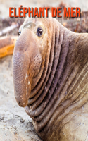 Eléphant de Mer: Recueil pour Enfants de Belles Images & d'Informations Intéressantes Concernant les Eléphant de Mer