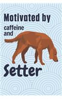 Motivated by caffeine and Setter: For Setter Dog Fans