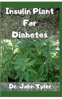 Insulin Plant for Diabetes
