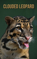 Clouded Leopard: Incredible Pictures Book about Clouded Leopard