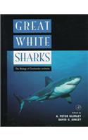 Great White Sharks