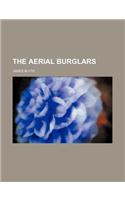 The Aerial Burglars