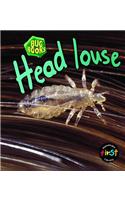 Head Louse