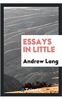 Essays in Little