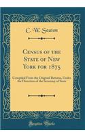 Census of the State of New York for 1875: Compiled From the Original Returns, Under the Direction of the Secretary of State (Classic Reprint)