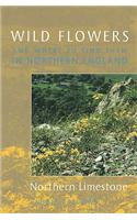 Wild Flowers and Where to Find Them in Northern England: Northern Limestone