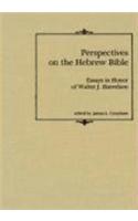 Perspectives on the Hebrew Bible