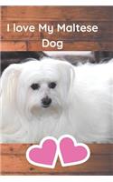 I Love My Maltese Dog