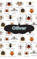 Oliver: Bug Insect Handwriting for K-3 Students Practice Paper Book Notebook Journal Book 120 Pages 6x9