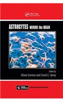 Astrocytes