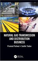 Natural Gas Transmission and Distribution Business