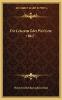 Die Cetaceen Oder Walthiere (1846)