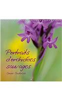 Portraits D'orchidees Sauvages 2018
