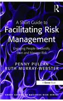 A Short Guide to Facilitating Risk Management