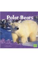 Polar Bears: (Bears)
