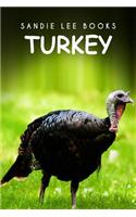 Turkey - Sandie Lee Books