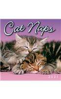 2021 Cat Naps Mini Calendar