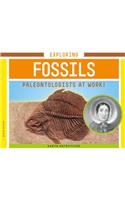 Exploring Fossils: Paleontologists at Work!