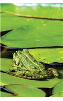 Lillypad Frog Any Day Planner Notebook