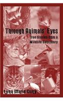 Through Animals' Eyes