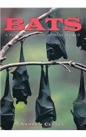 Bats: A Portrait of the Animal World